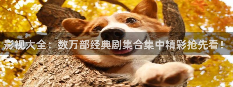 花千骨电视剧星辰影院