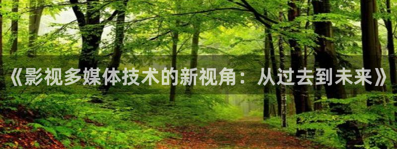 雪中悍刀行星辰影院