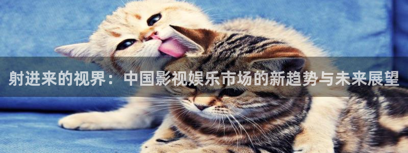 锦衣之下免费观看星辰影院