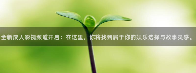 雍正王朝星辰影院