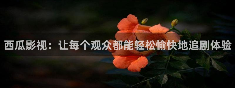 免费电视剧大全星辰影院