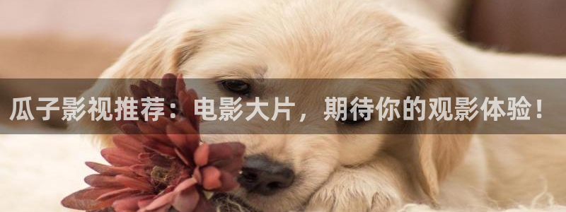 星辰影院手机在线播放