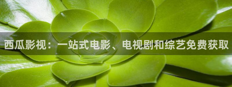 进击的巨人星辰影院